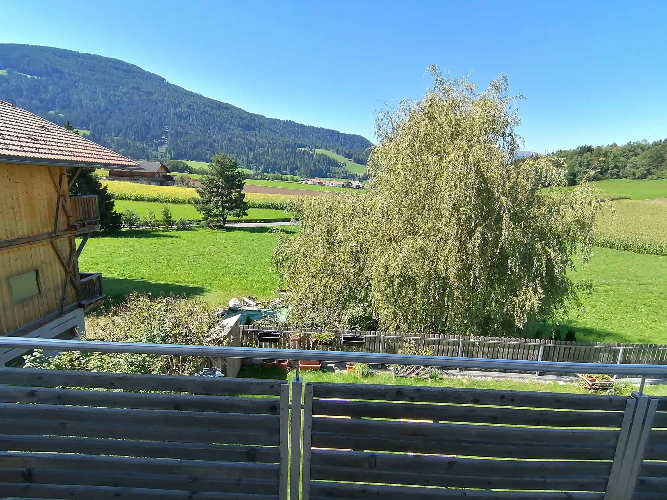 Biofire_Panorama_4